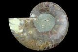 Agatized Ammonite Fossil (Half) - Madagascar #125074-1